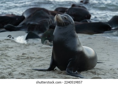 欧美一级二级三级在线观看 欧美一级二级三级在线观看