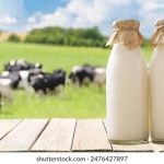 久久re这里视频精品8 jrw7rizn5t