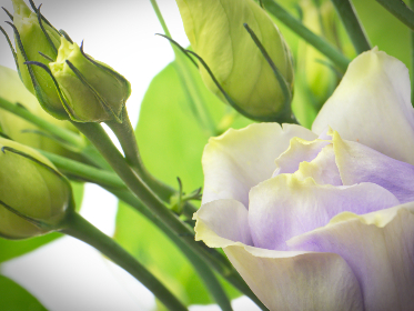 超清毛片在线 超清毛片在线