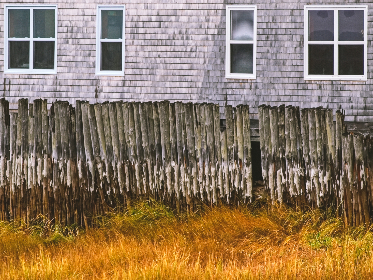 微密猫入口:探索智能猫咪管理的新方式与便利体验 微密猫入口:探索智能猫咪管理的新方式与便利体验
