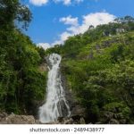 妖九漫画 漫画:探索妖九世界的奇幻冒险与精彩故事 2kbwb