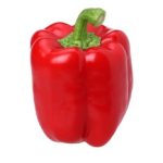 动漫在线免费观看全免费:畅享海量热门动漫,无需付费轻松观看 9eo948