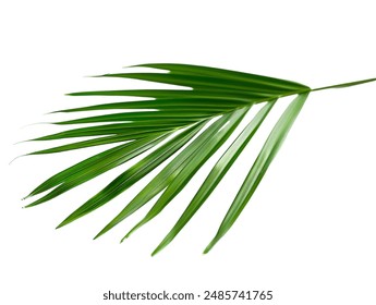 喜加一 steam:畅享免费游戏的乐趣与攻略分享 喜加一 steam:畅享免费游戏的乐趣与攻略分享