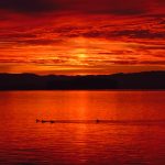 动漫在线观看免费全集:畅享最新热门动漫,随时随地免费观看! fniwn