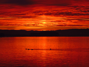 动漫在线观看免费全集:畅享最新热门动漫,随时随地免费观看! 动漫在线观看免费全集:畅享最新热门动漫,随时随地免费观看!