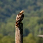 免费观看1—32集精彩电视剧,畅享无限娱乐时光 junsahb6