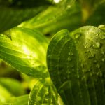 如何在电脑版上畅享MX动漫的精彩内容 l67qv8t