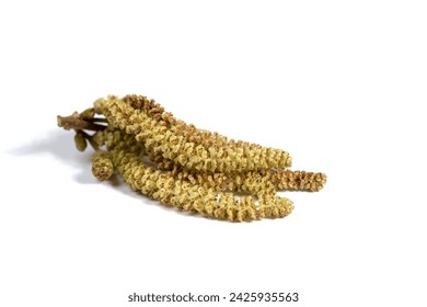 如何在浏览器中在线打开B站官网的详细步骤 如何在浏览器中在线打开B站官网的详细步骤