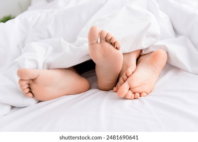 如何查找我所在地区可用的网络电缆服务 如何查找我所在地区可用的网络电缆服务