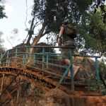 全面解析nealfun软件下载及其使用技巧 svseh183m