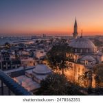 全面解析P2P种子搜索神器的使用技巧与推荐 zirqnq