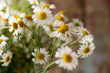 探索www.fi11.com:您的在线资源与服务平台 探索www.fi11.com:您的在线资源与服务平台