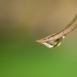 探索6080新视觉奇领影院官方网站,畅享精彩影视体验 3t88hr7