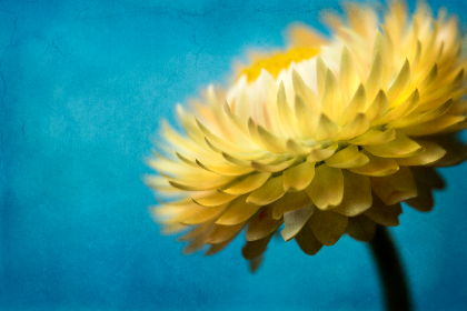 探索HVHS在现代教育中的应用与发展趋势 探索HVHS在现代教育中的应用与发展趋势