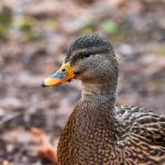 探索 www.8x8x.com 在 GitHub 上的项目与资源 deqvqb