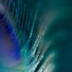 探索P站视频网页的精彩内容与使用技巧 f6fscng