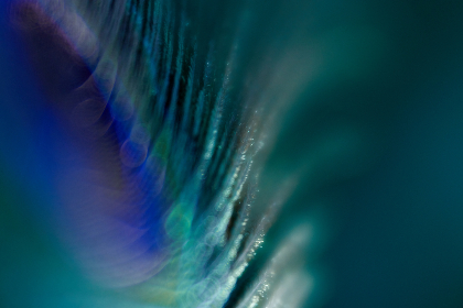 探索P站视频网页的精彩内容与使用技巧 探索P站视频网页的精彩内容与使用技巧