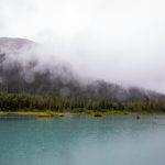 探索柒夜导航网:开启你的夜间出行新体验 j45uu2lci