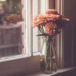 探索哔咔漫画最新官网入口,畅享海量精彩漫画 jv34n4nfkj