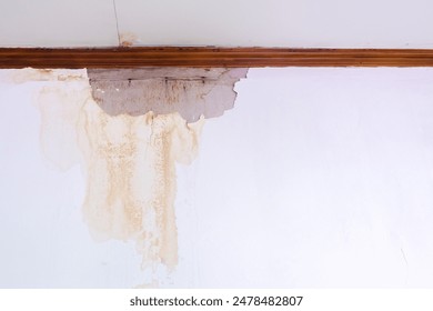 探索Mana本子克洛琳德的奇幻世界与角色魅力 探索Mana本子克洛琳德的奇幻世界与角色魅力