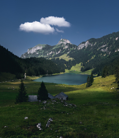 探索爱情岛论坛:亚洲首页入口章节全解析 探索爱情岛论坛:亚洲首页入口章节全解析