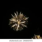 探索www.cn域名的意义与发展历程 n2rkn