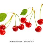 探索哔咔piacg:二次元文化的全新体验与魅力 os2rtw7