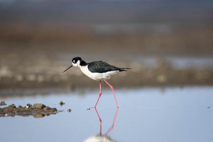 探索AQDLT2025:未来科技与创新的交汇点 探索AQDLT2025:未来科技与创新的交汇点