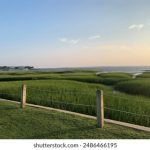 探索www.cupfox.com:茶杯狐视频剪辑的创意与技巧 ysvg46s