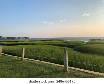 探索www.cupfox.com:茶杯狐视频剪辑的创意与技巧 探索www.cupfox.com:茶杯狐视频剪辑的创意与技巧